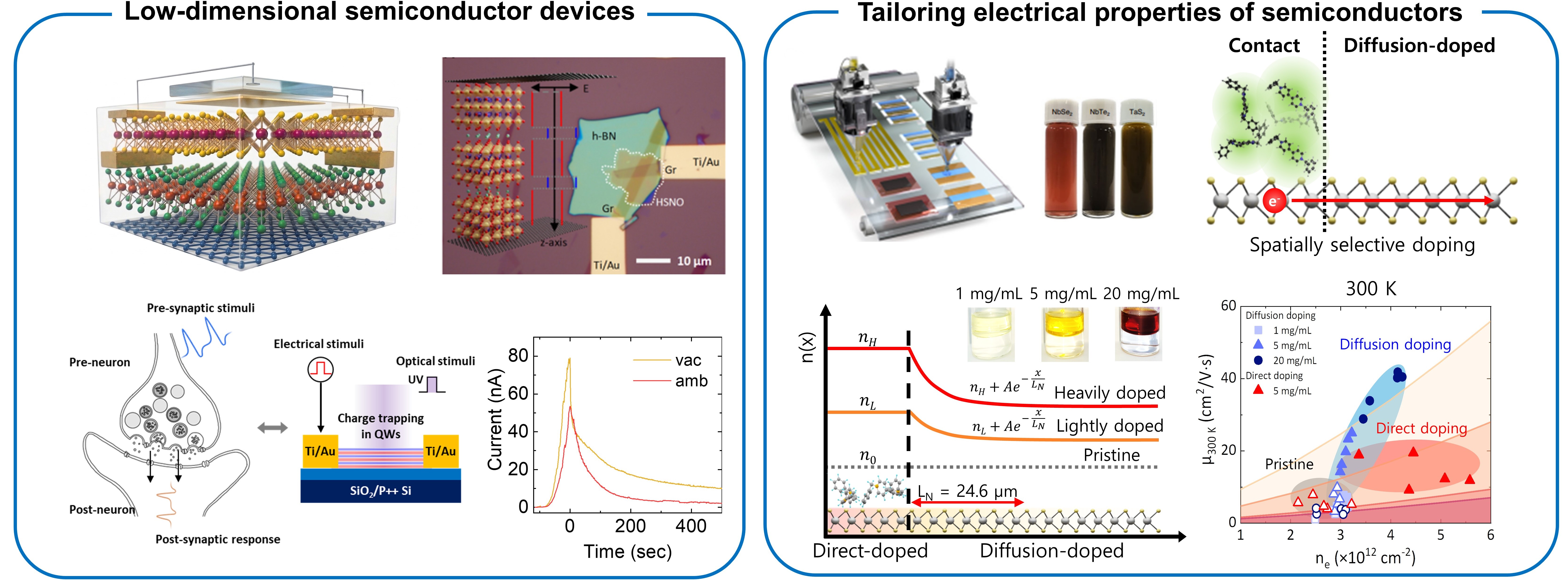 Low-dimensional Semiconductor Devices research overview